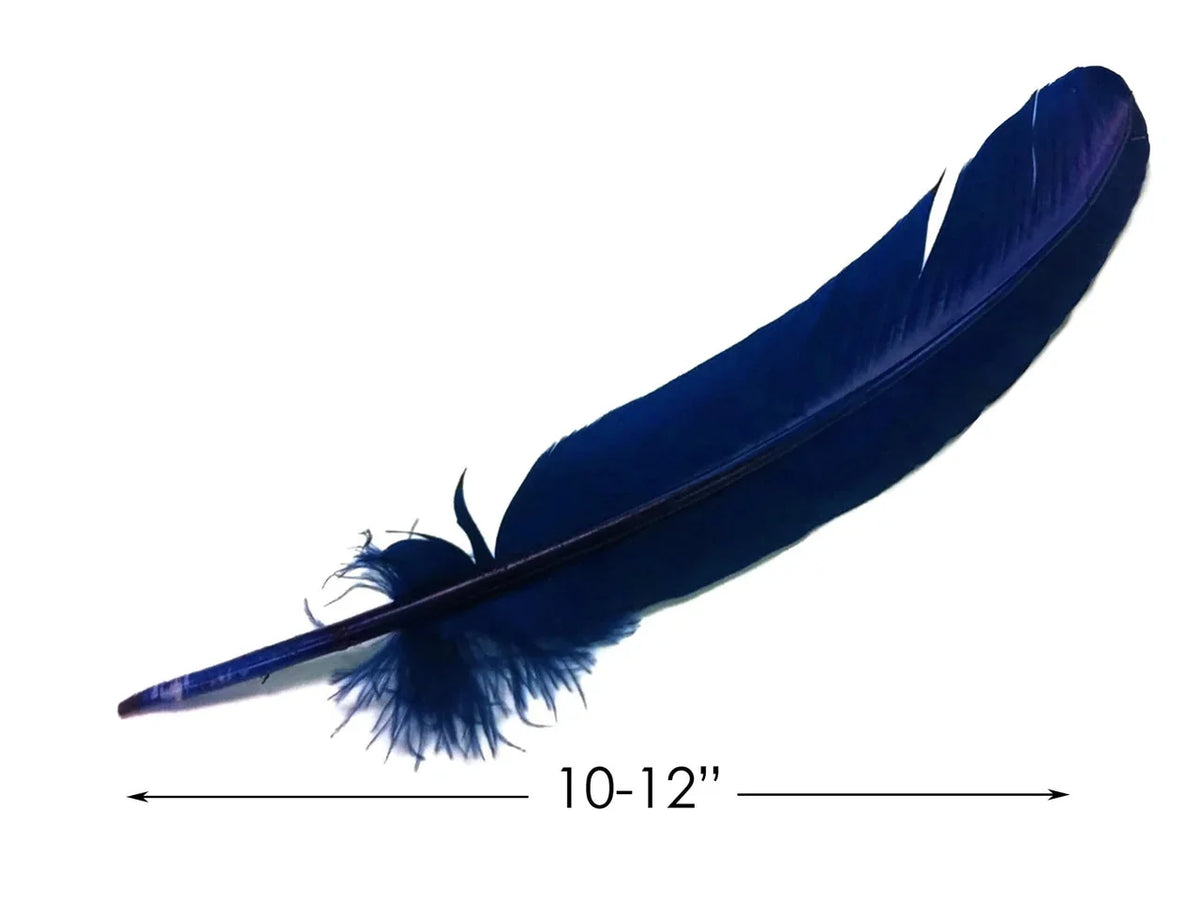 Deep blue decorative feather for crafts and fashion, 10-12 inches long.