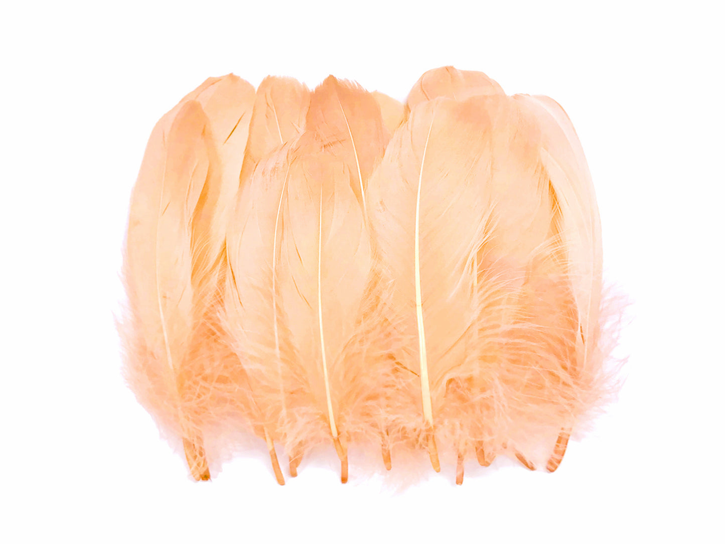 1 Pack - Champagne Goose Nagoire Loose Feather - 0.25 Oz.