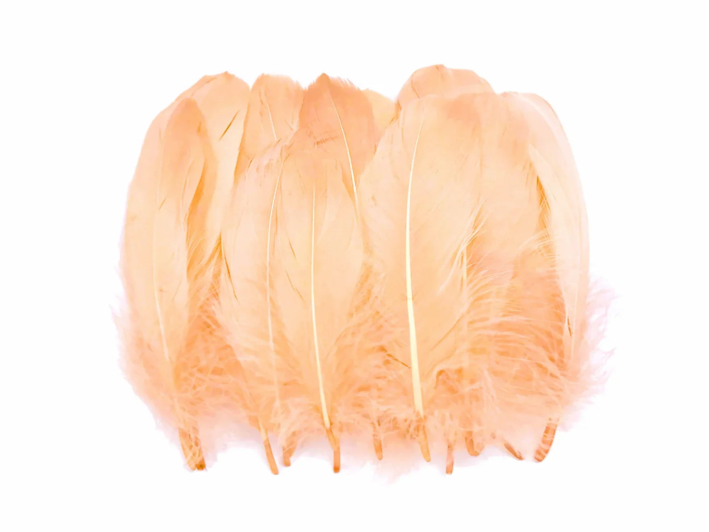 1 Pack - Champagne Goose Nagoire Loose Feather - 0.25 Oz.