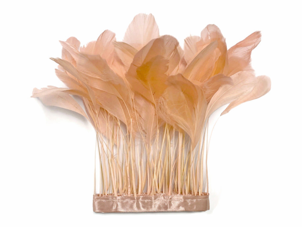 1 Yard - Champagne Stripped Coque Tail Feathers Wholesale Trim (Bulk)