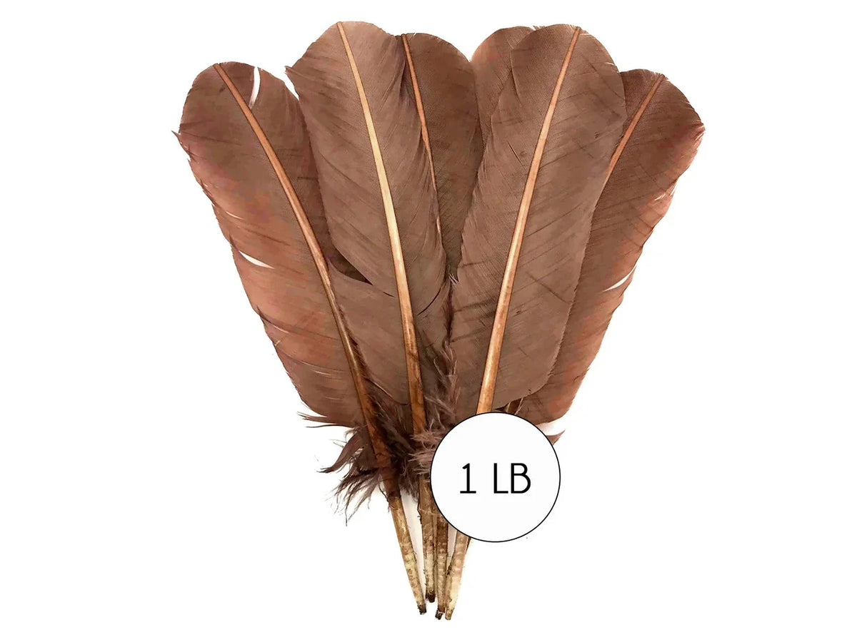 Bundle of large brown natural feathers for crafts and DIY decor, 1 lb weight.