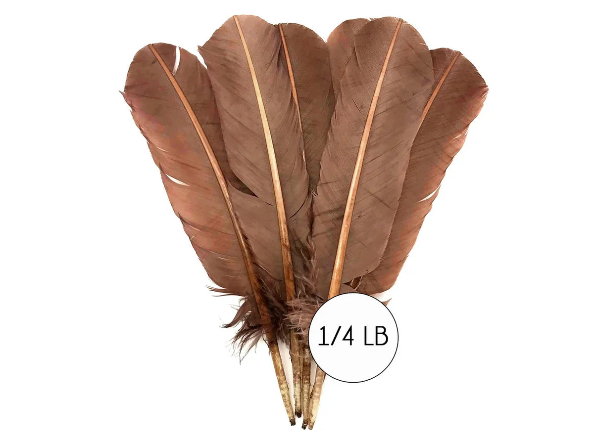 Bundle of large brown natural feathers for crafts and DIY decor, 1/4 lb pack.