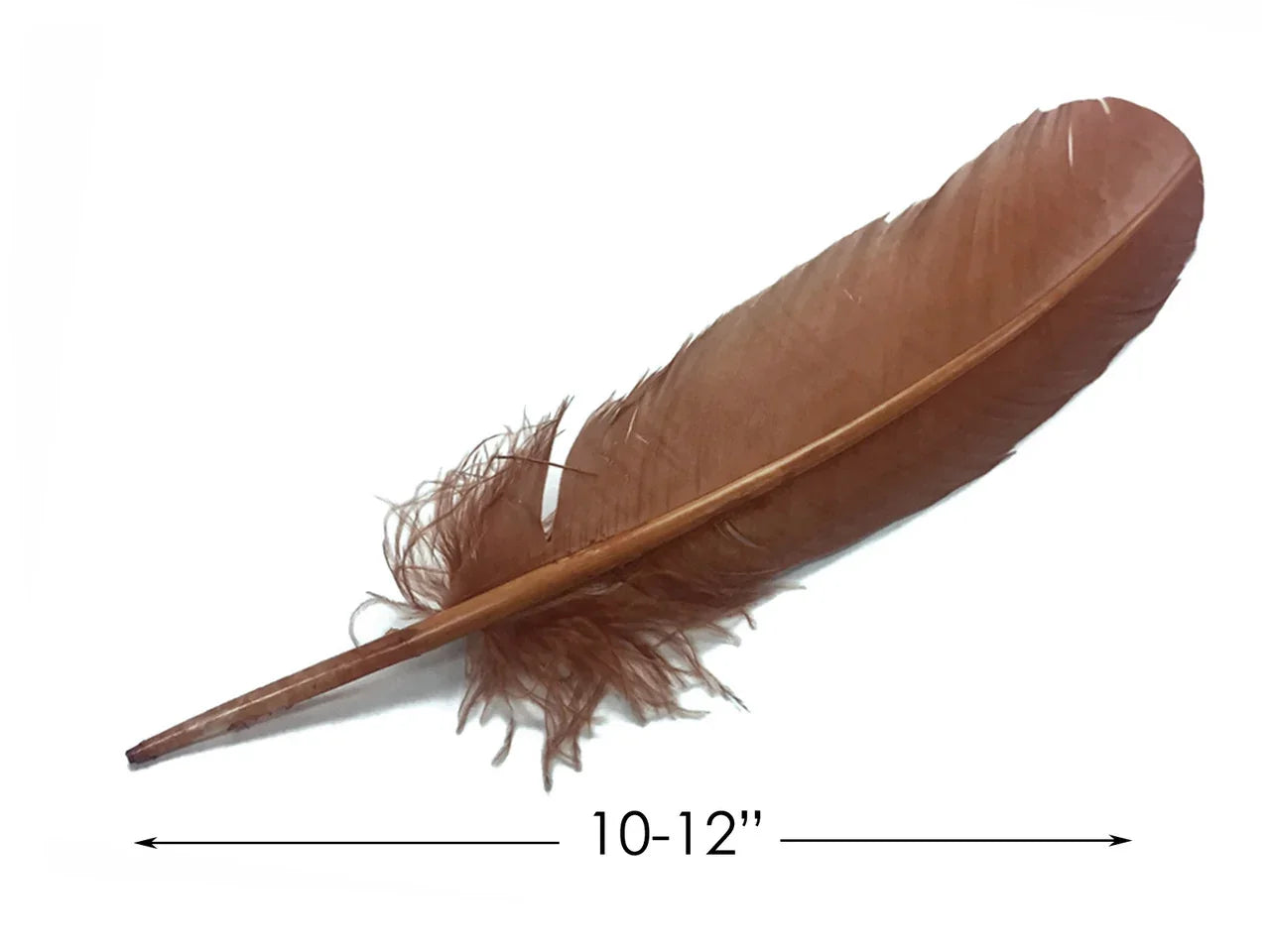 Single 10-12 inch brown natural feather for crafts and DIY fashion decor.