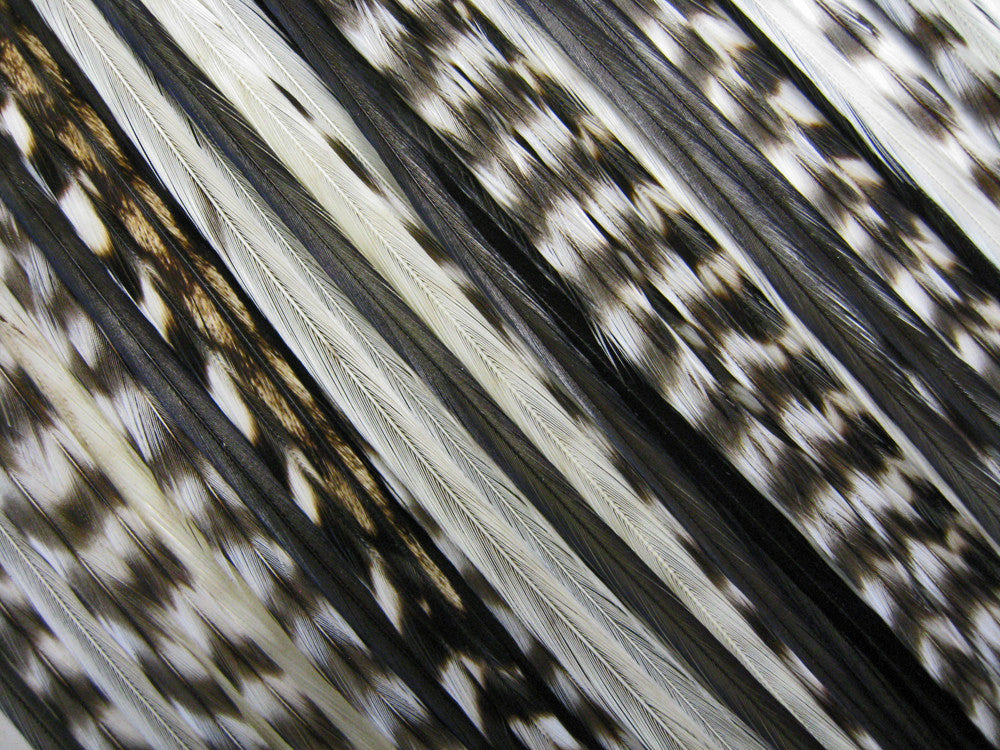 Night & Day Mix Pack - Hair Extension Whiting Farm Feather Stainless Tool Kit & Silicone Beads