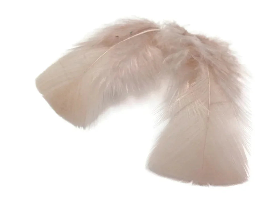 Two soft light pink craft feathers isolated on a white background for DIY fashion and decor.