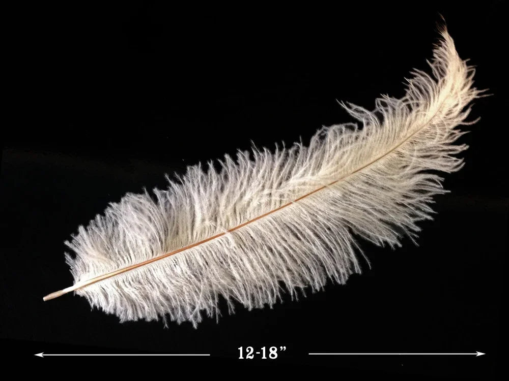 Large white ostrich feather for crafts and fashion decor, 12-18 inches long.