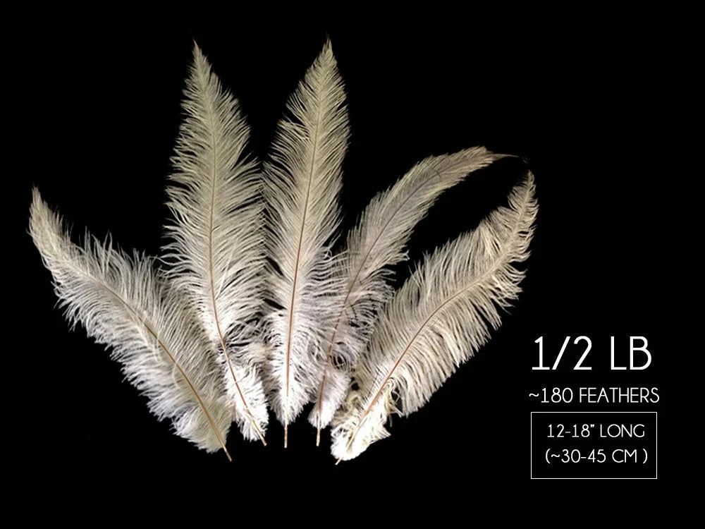 Set of 180 white ostrich feathers, 12-18 inches long, for DIY crafts and fashion decor.