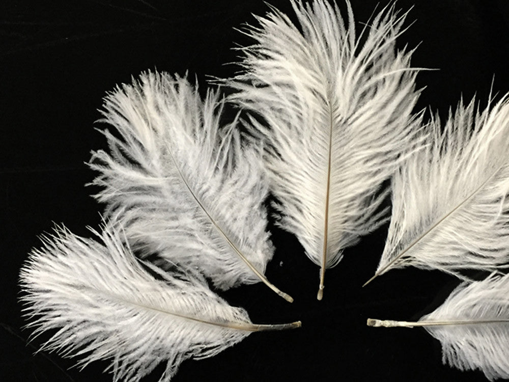 Wholesale Pack - Off White Ostrich Small Confetti Feathers (Bulk)