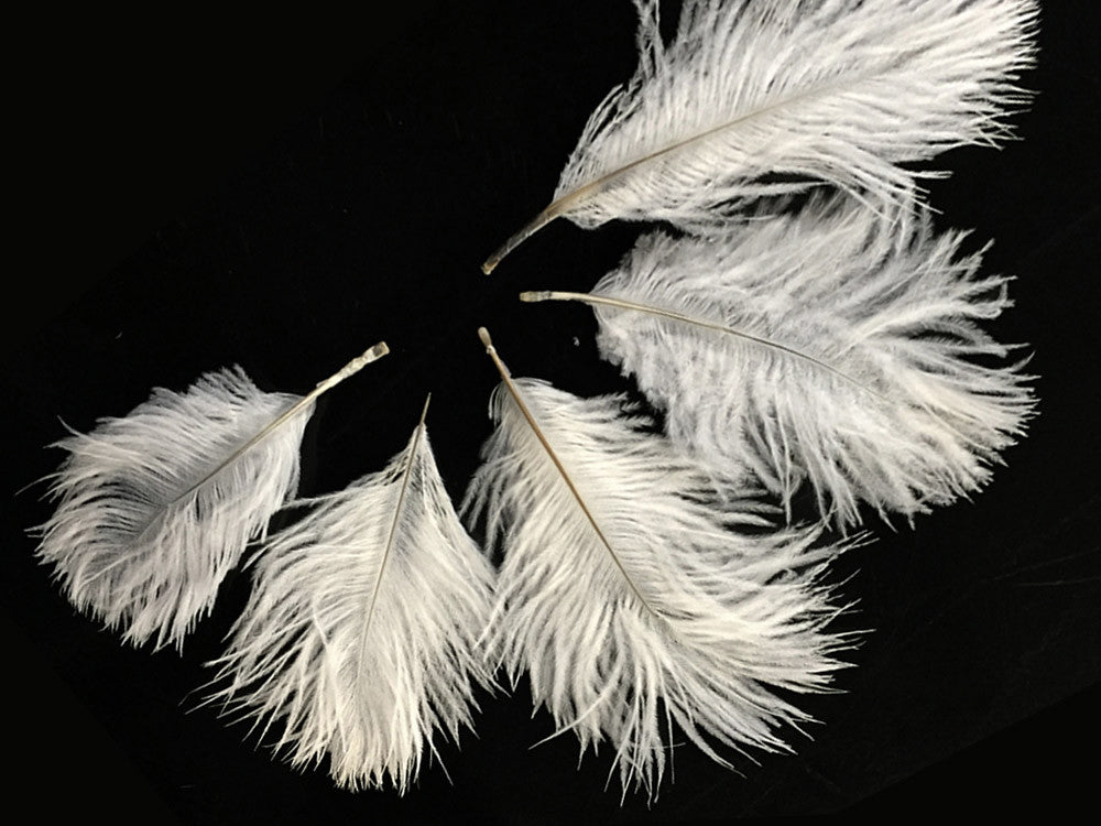 Wholesale Pack - Off White Ostrich Small Confetti Feathers (Bulk)