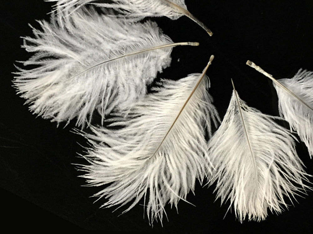 Wholesale Pack - Off White Ostrich Small Confetti Feathers (Bulk)