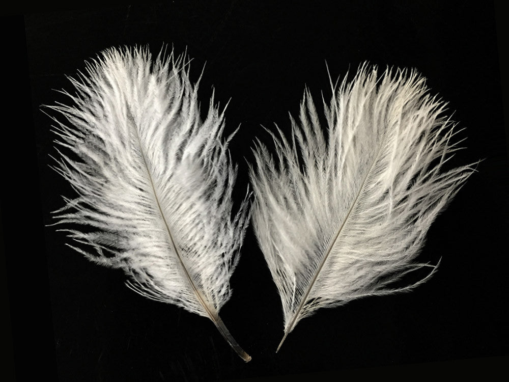 Wholesale Pack - Off White Ostrich Small Confetti Feathers (Bulk)