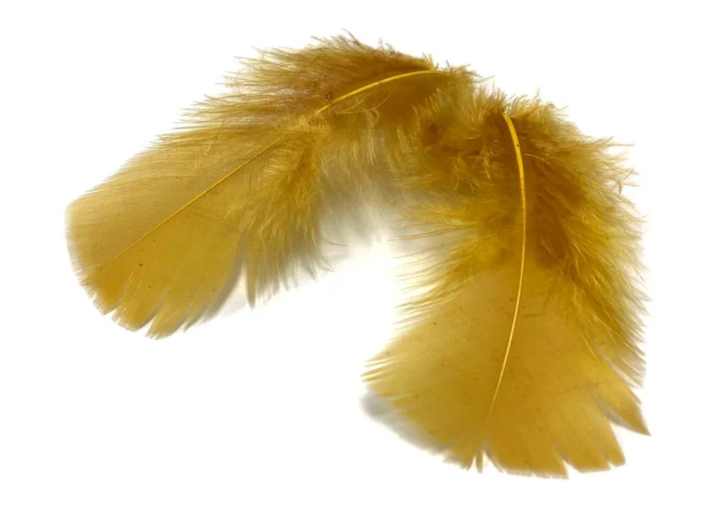 Two vibrant golden yellow feathers for DIY crafts and fashion decor.