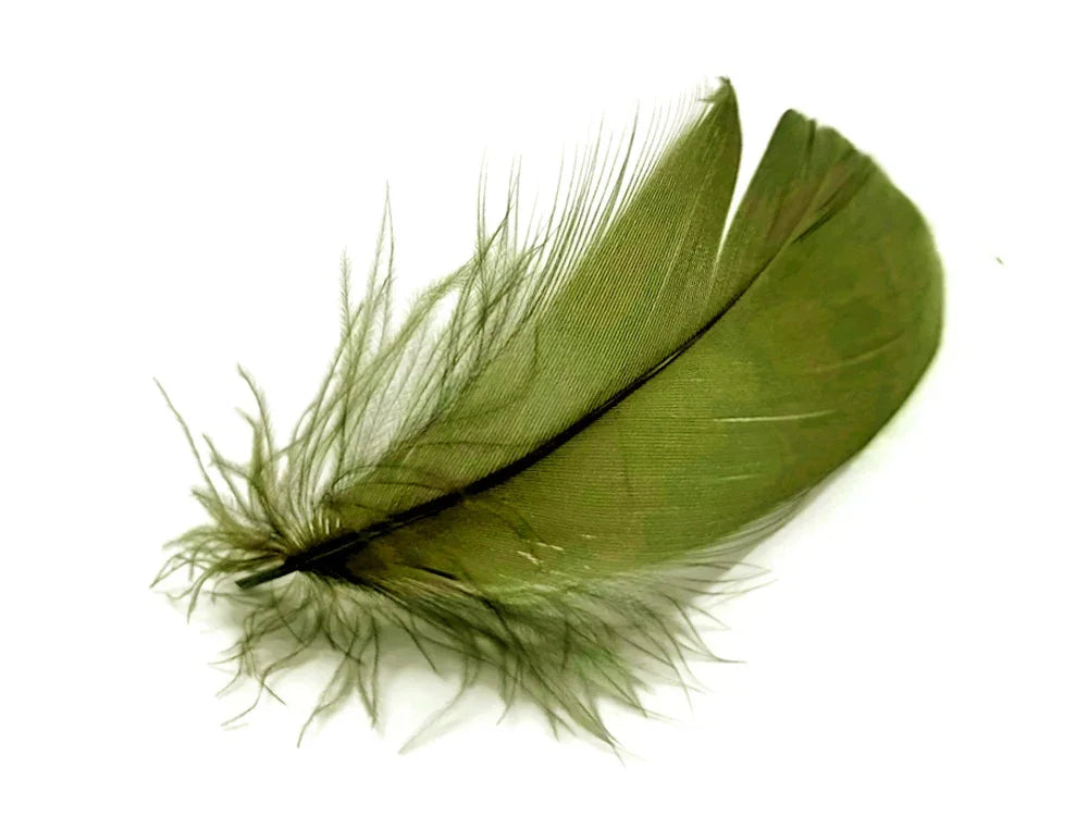 Single olive green natural feather for DIY crafts and fashion decor on a white background.