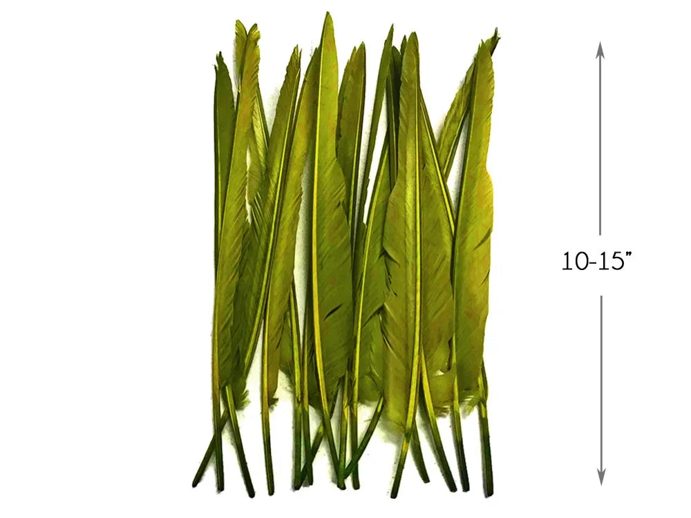 Long green feathers for crafts and DIY decor, measuring 10-15 inches in length.