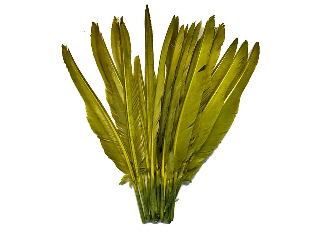 Bundle of long olive green feathers for craft and fashion DIY supplies.