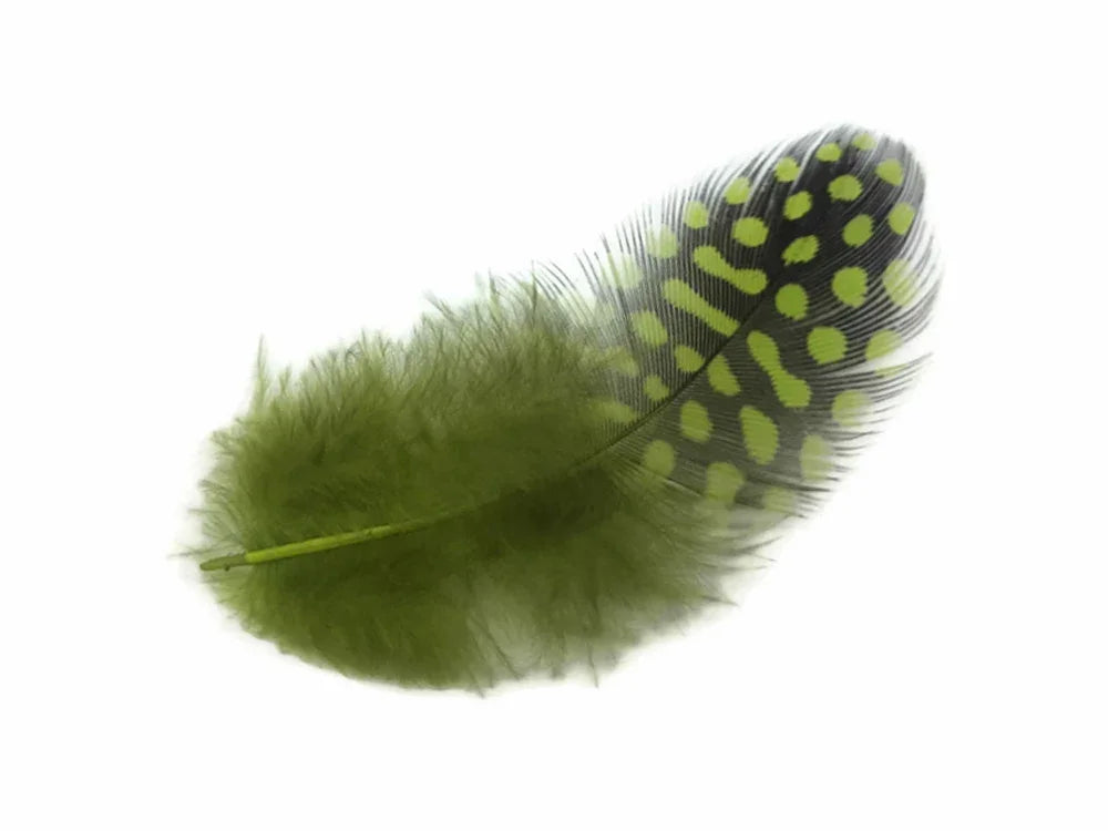 1/4 Lb - Olive Green Guinea Hen Plumage Polka Dot Feathers Wholesale (Bulk)