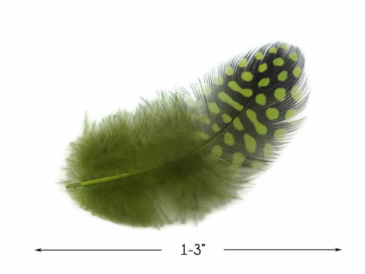 1 Pack - Olive Green Guinea Hen Polka Dot Plumage Feathers 0.10 Oz.