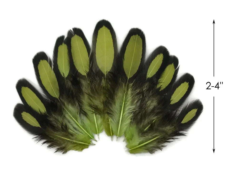 Natural green and black patterned feathers for crafts, 2-4 inches in length.