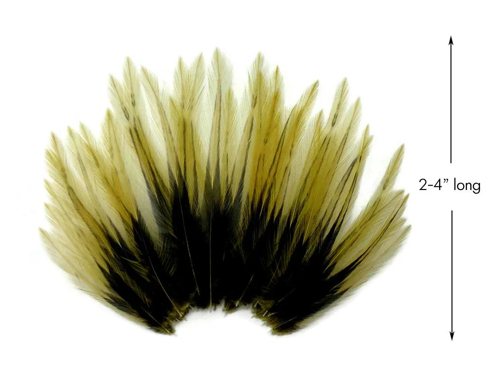 Natural tan and black feathers for crafts and fashion, 2-4 inches long.