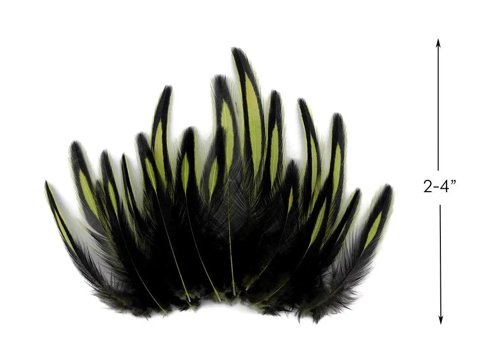 Black and yellow striped craft feathers, 2-4 inches in length for DIY fashion and decor.