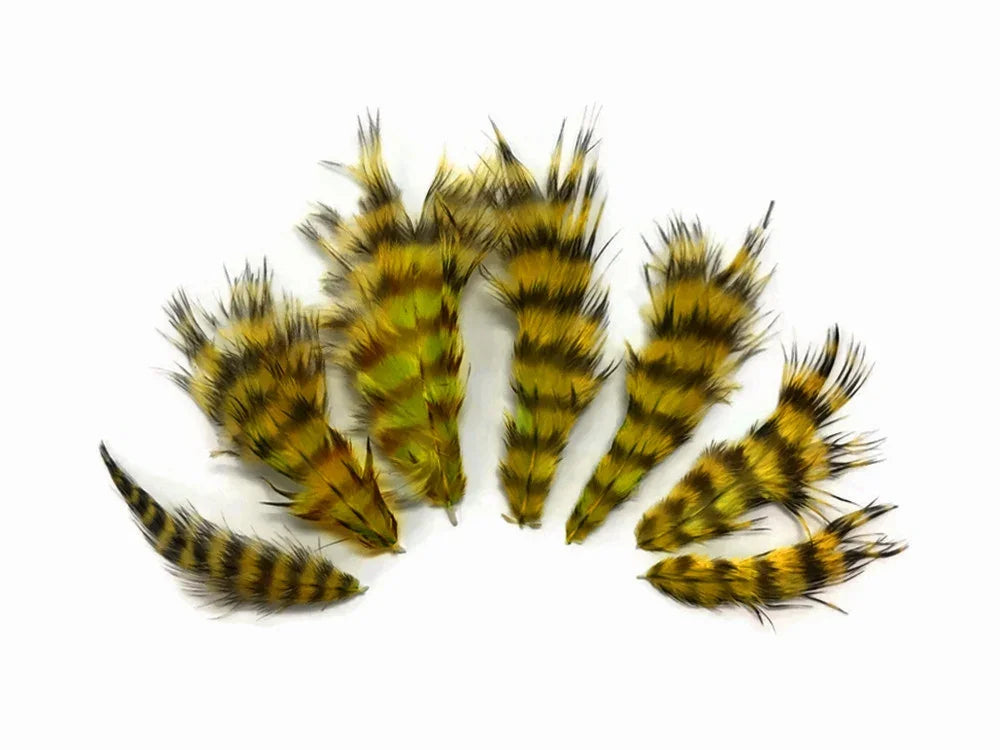 Set of natural yellow and black striped craft feathers for DIY fashion and décor.