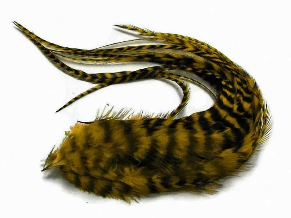 Natural yellow and black barred feathers for DIY crafts and fashion accessories.