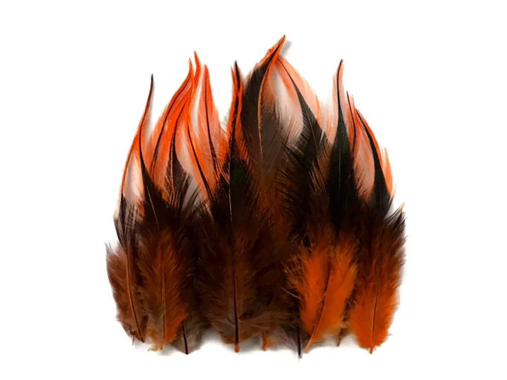 Vibrant orange and black natural feathers for DIY crafts and fashion decor.