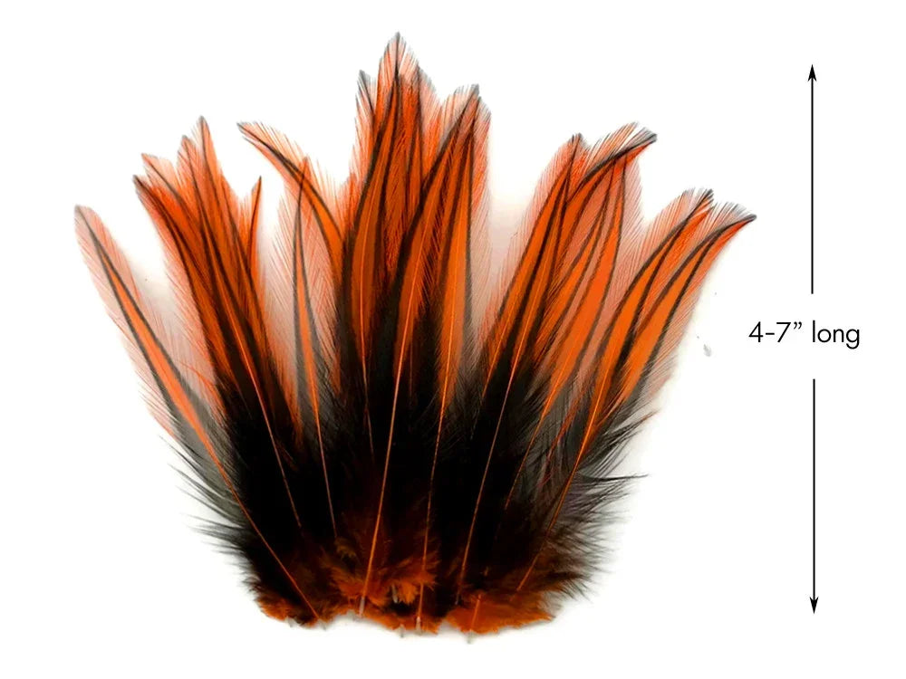 Orange and black natural feathers for crafts, 4-7 inches long.