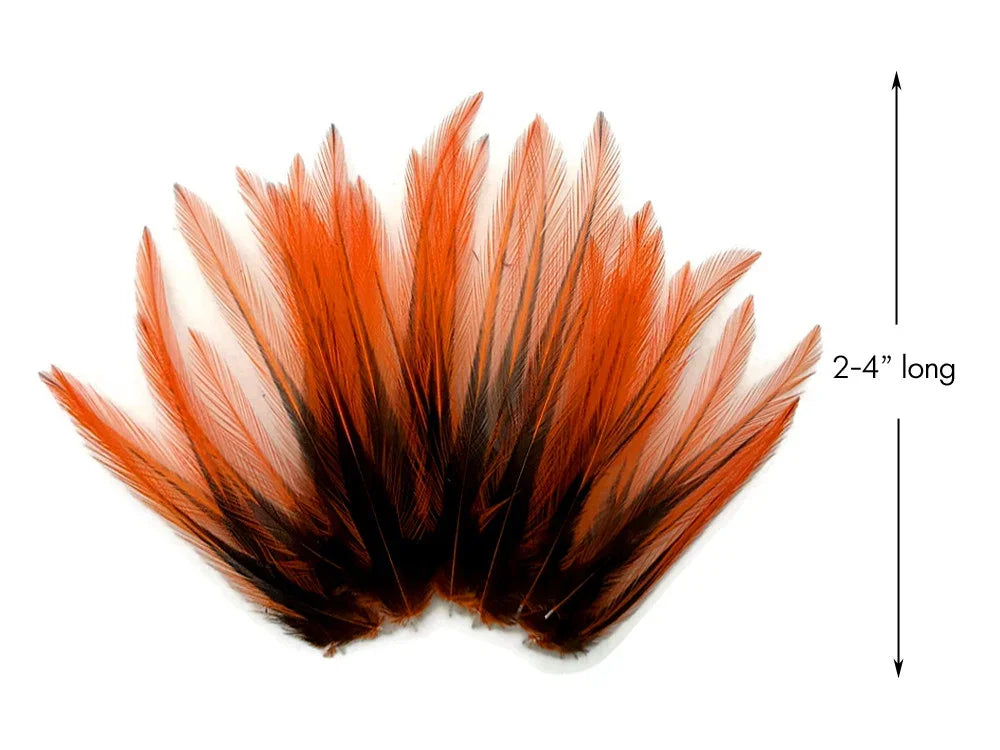 Orange and black dyed feathers for crafts, 2-4 inches long.