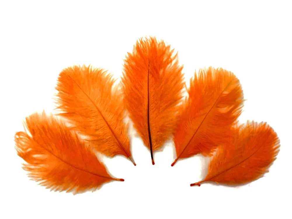 Five vibrant orange craft feathers arranged in a fan shape on a white background.