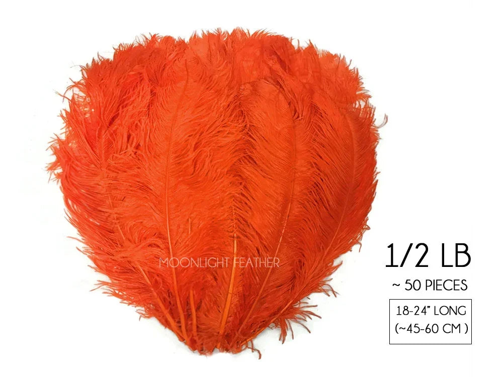 Vibrant orange ostrich feathers for crafts and fashion decor, 18-24 inches long.