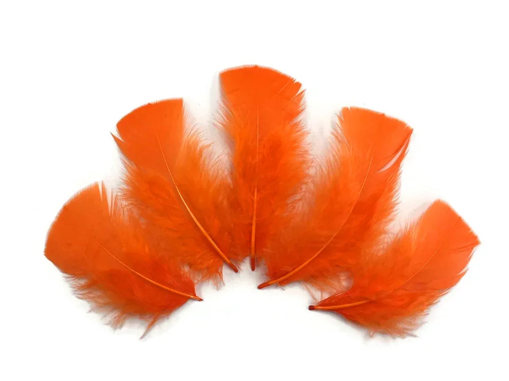 Five vibrant orange craft feathers arranged in a fan shape on a white background.