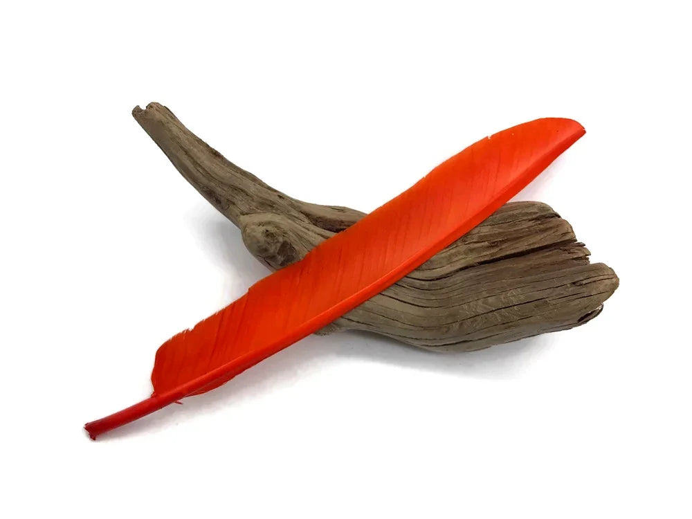 Vibrant orange craft feather resting on a piece of natural driftwood.