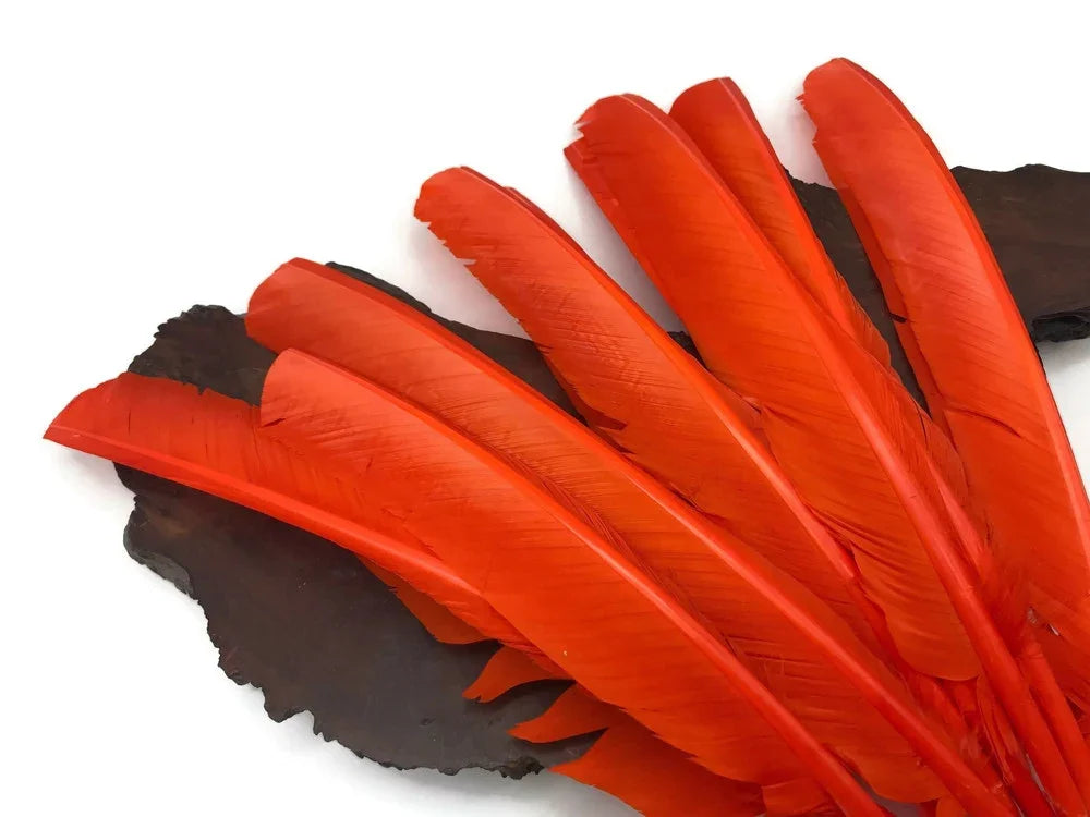 Vibrant orange craft feathers arranged on a dark textured surface.
