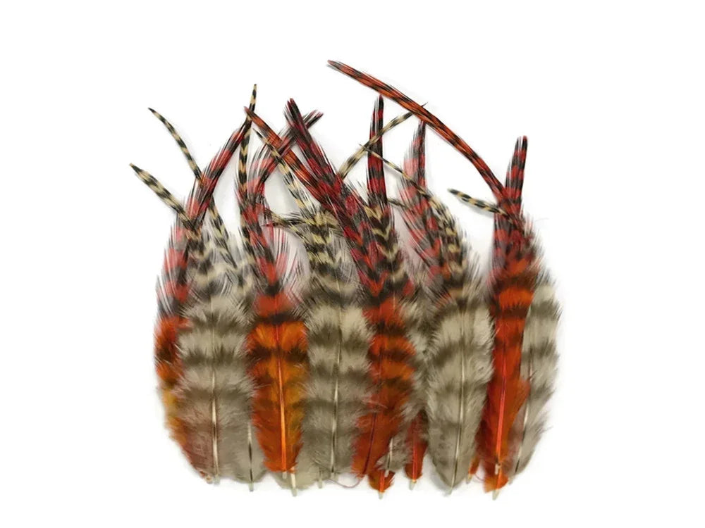 Natural patterned pheasant feathers in orange, brown, and cream for DIY crafts and decor.