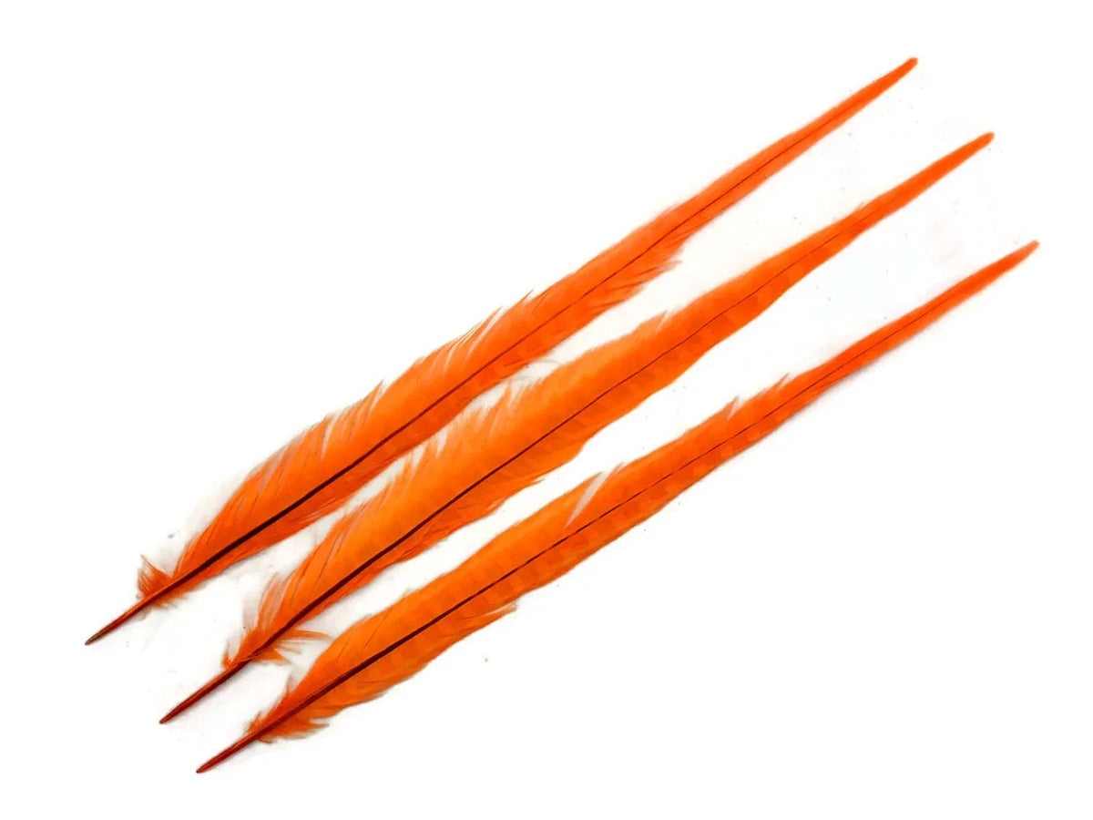 Three long, vibrant orange feathers for craft and fashion DIY supplies on a white background.