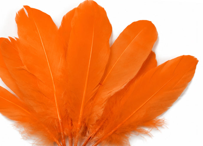 1 Pack - Orange Goose Satinettes Pallet Soft Wing Quill Loose Feathers - 0.3 Oz