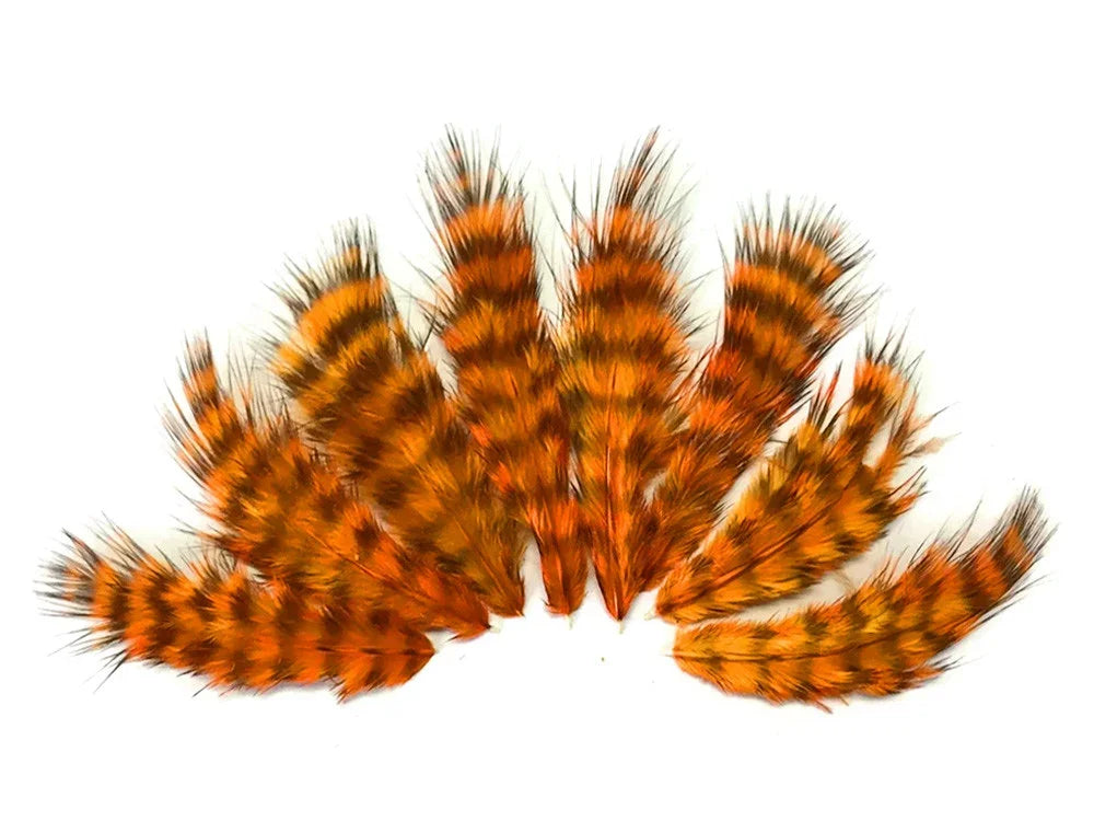 Fan arrangement of orange and black striped decorative craft feathers on white background.