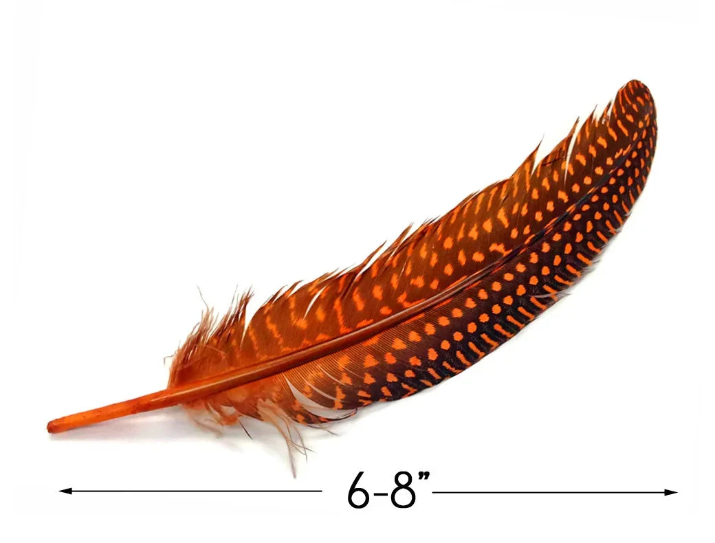6-8 inch long orange and black spotted decorative craft feather on white background