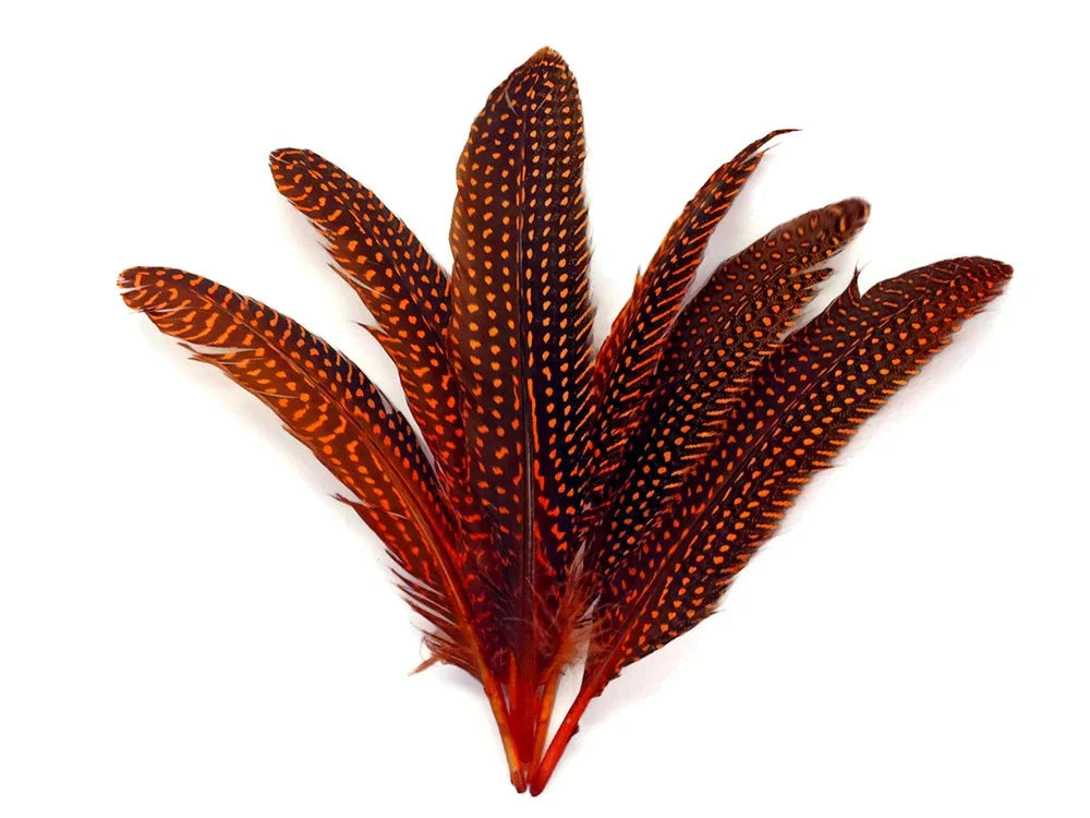 Set of vibrant reddish-brown patterned feathers for DIY crafts and fashion decor.