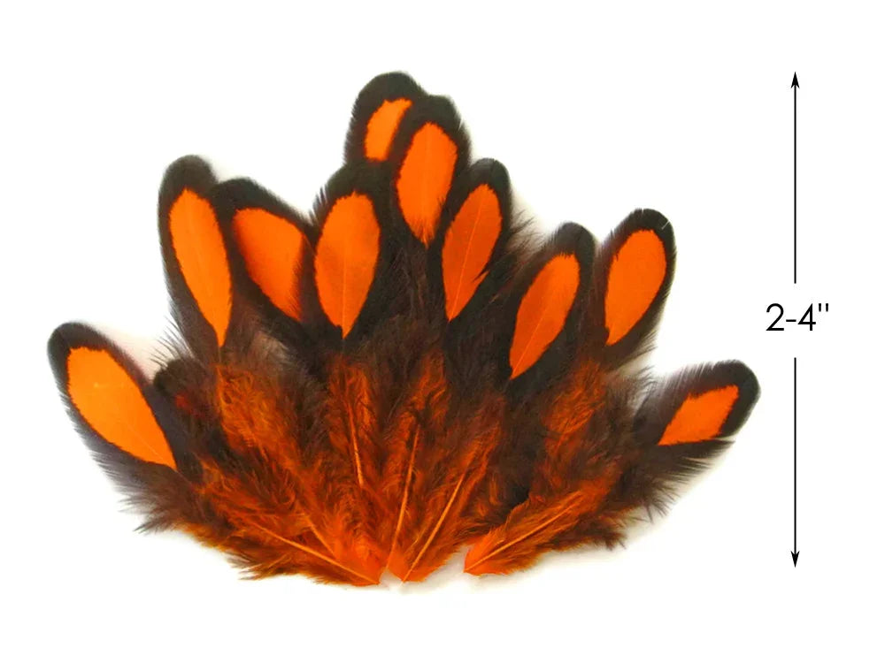 Vibrant orange and black feathers for DIY crafts and fashion decor, 2-4 inches.