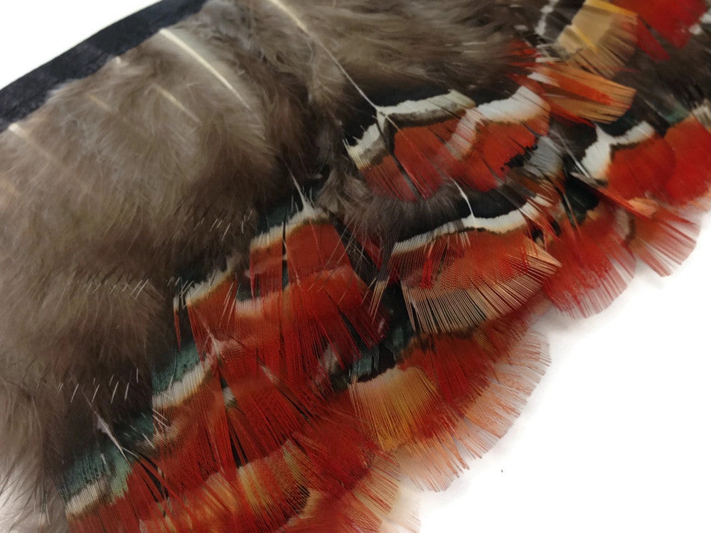1 Yard - Red Lady Amherst Pheasant Plumage Feather Trim