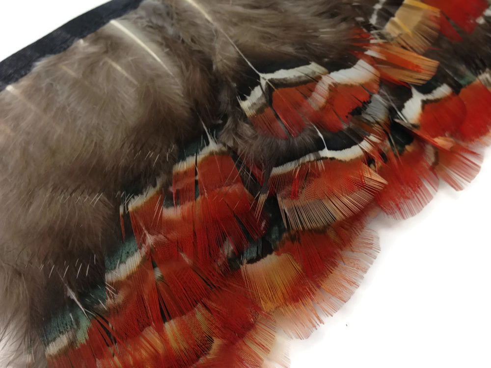 1 Yard - Red Lady Amherst Pheasant Plumage Feather Trim