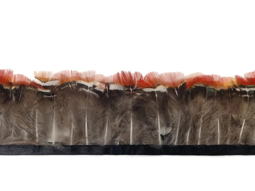 1 Yard - Red Lady Amherst Pheasant Plumage Feather Trim