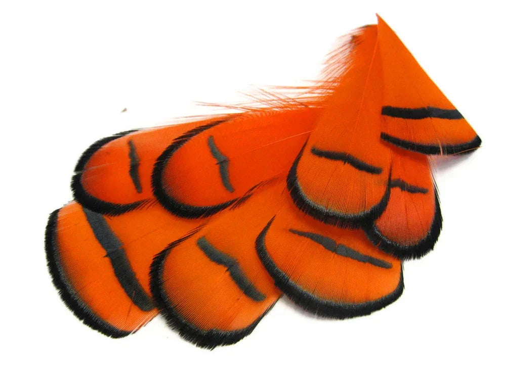 Vibrant orange feathers with black stripes for DIY crafts and fashion accessories.