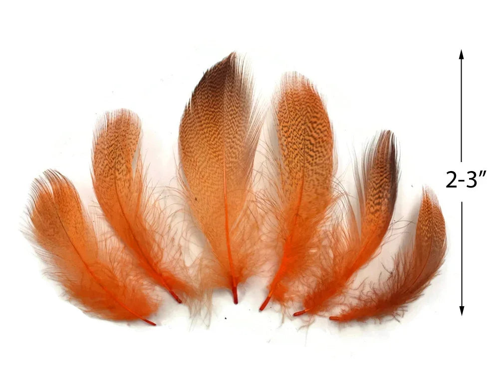 Set of orange patterned craft feathers, 2-3 inches in length for DIY fashion and decor.