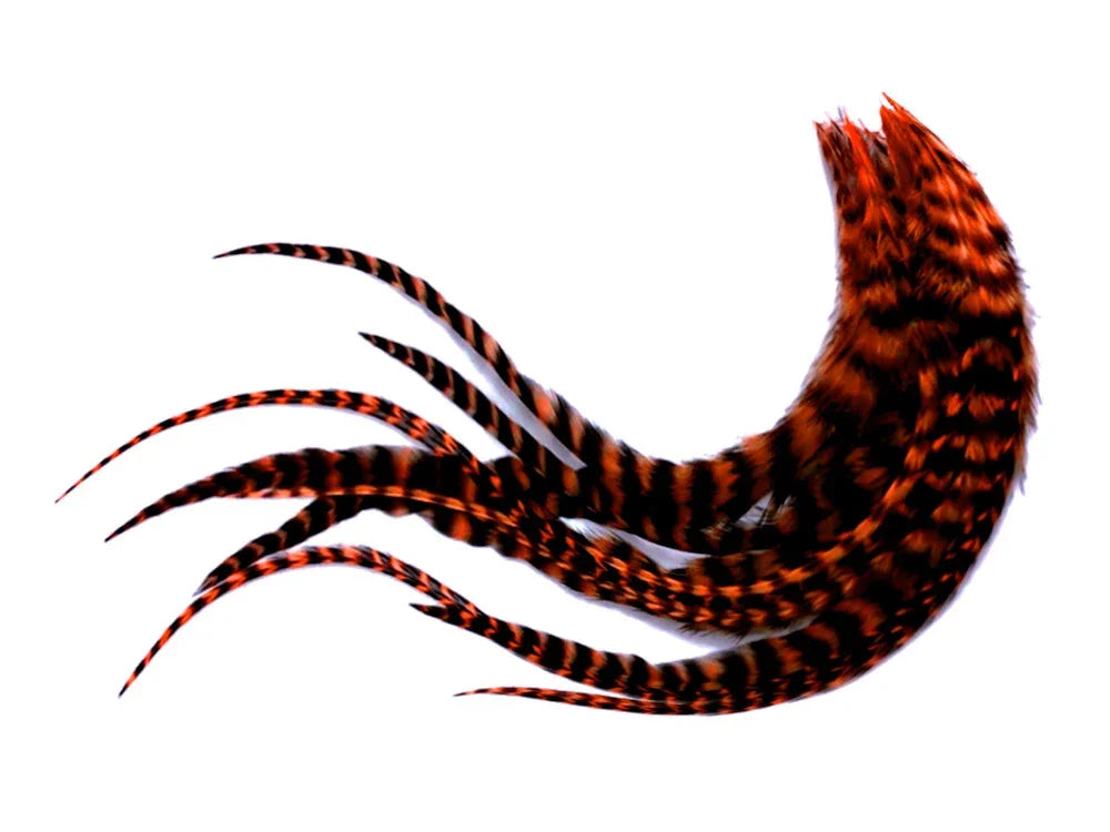 Striped orange and black pheasant feathers for DIY crafts and fashion decor.