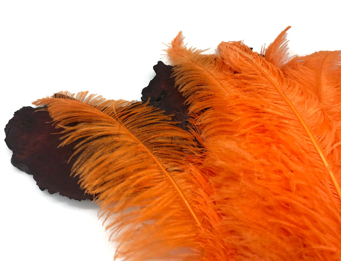 10 Pieces - 20-28" Orange Ostrich Spads Large Wing Feathers