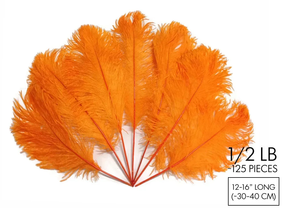 Bright orange ostrich feathers for crafts and DIY decor, 12-16 inches long.