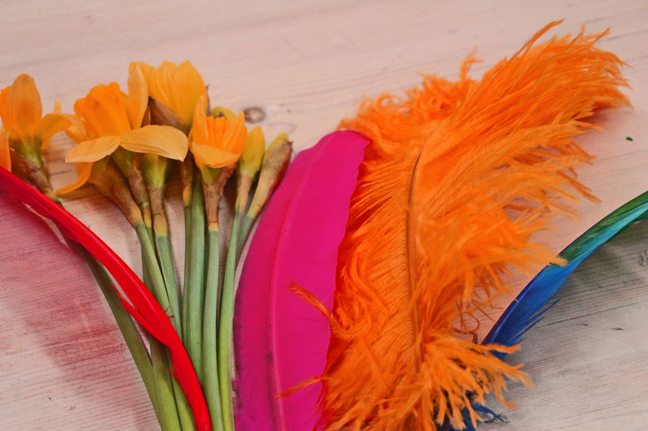 10 Pieces - 12-16" Orange Dyed Ostrich Tail Fancy Feathers
